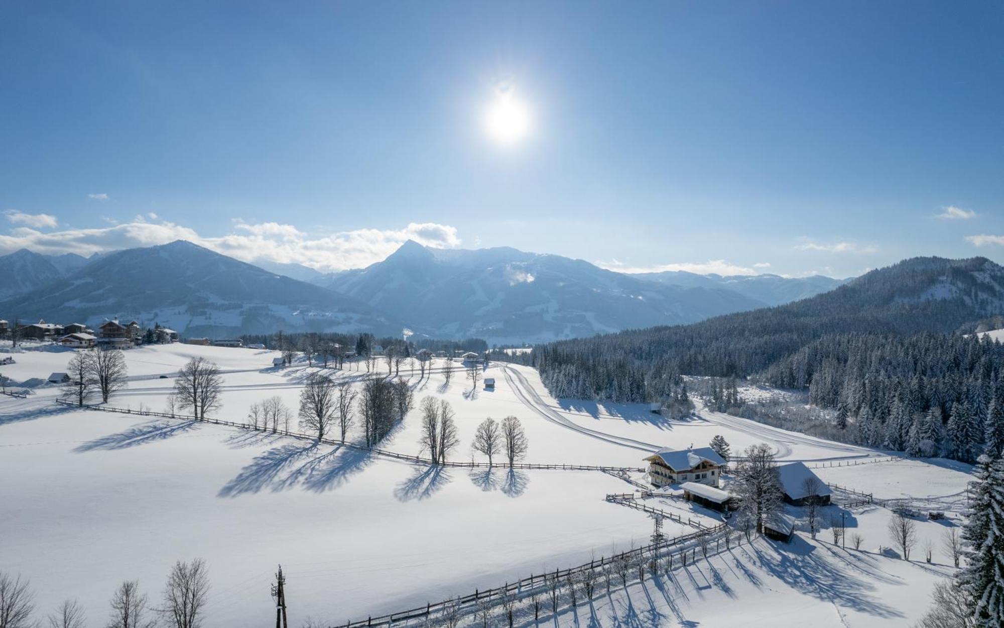 Luxus-Appartements Fosensteiner Ramsau am Dachstein Zewnętrze zdjęcie